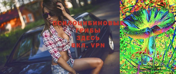 метадон Каменка