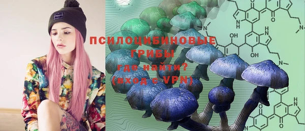 PSILOCYBIN Касимов