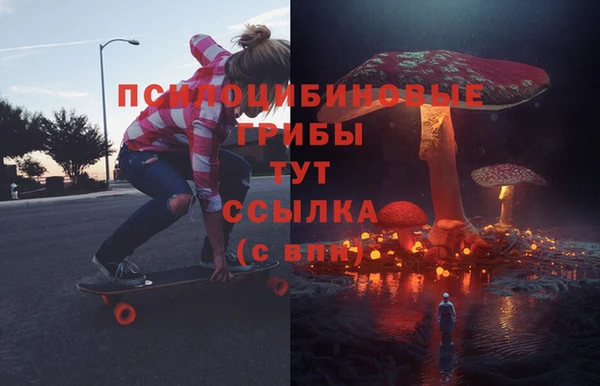 наркотики Каменногорск
